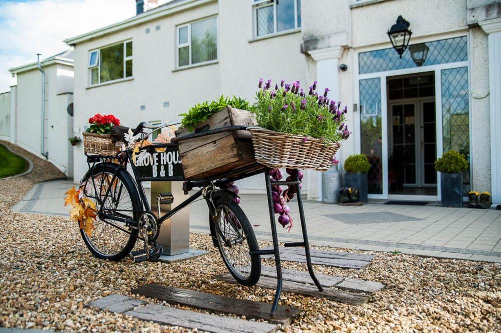 كارلينغفورد Grove House Bed & Breakfast المظهر الخارجي الصورة